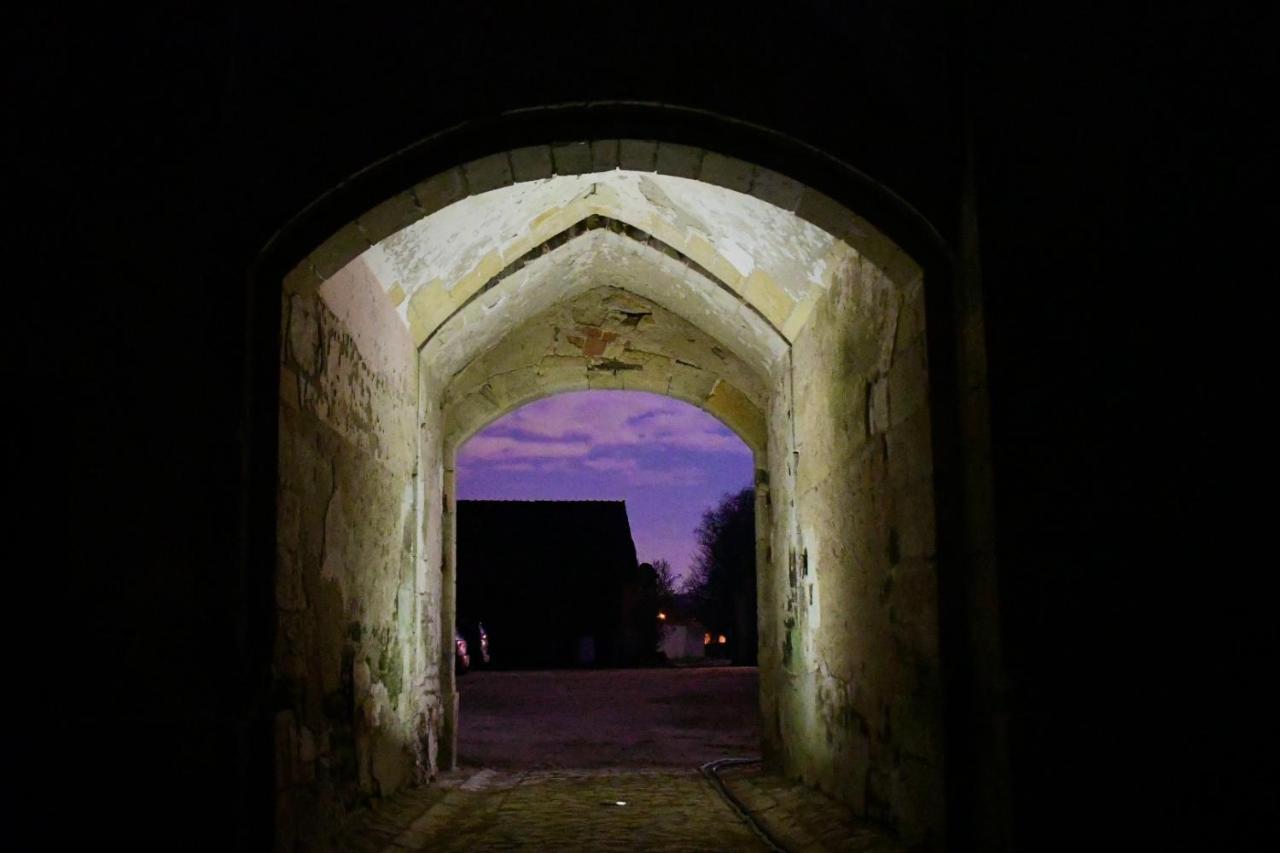 Un Chateau En Bourgogne Saincaize-Meauce Eksteriør bilde
