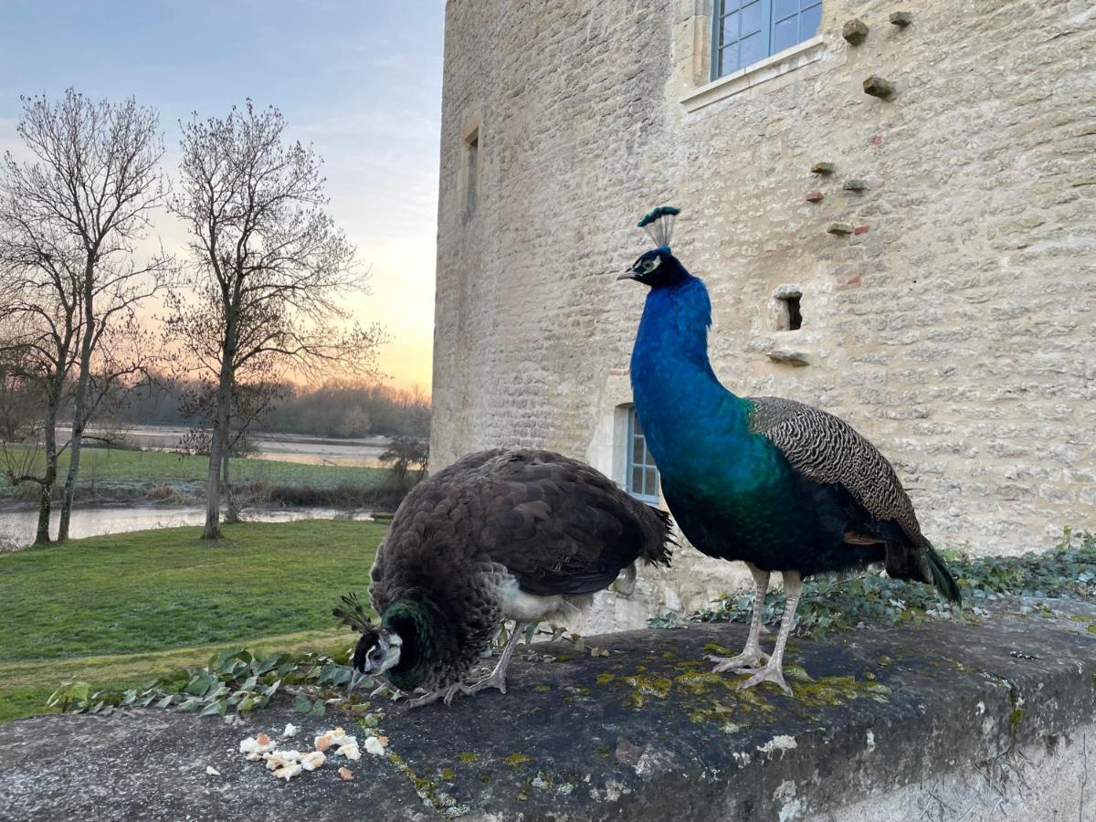 Un Chateau En Bourgogne Saincaize-Meauce Eksteriør bilde